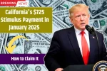 's $725 Stimulus Payment in January 2025