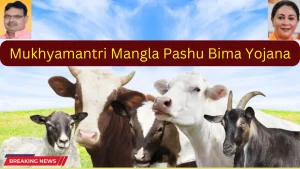 Mukhyamantri Mangla Pashu Bima Yojana